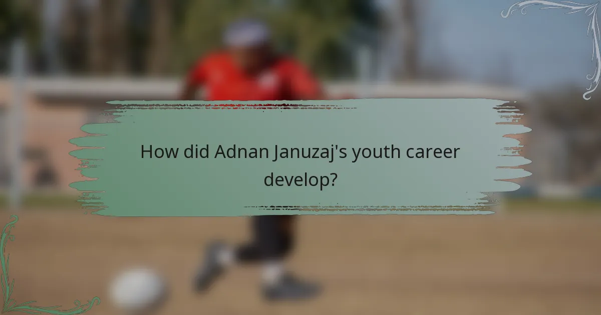 How did Adnan Januzaj's youth career develop?