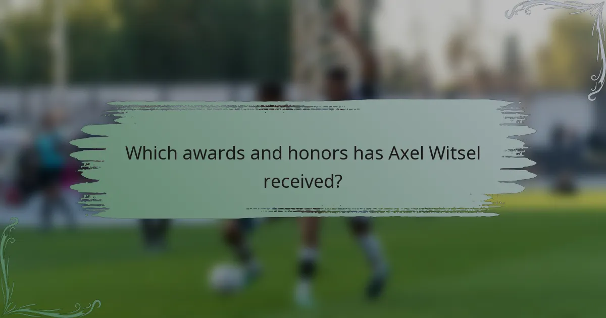 Which awards and honors has Axel Witsel received?